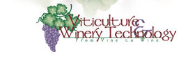 Viticulture and Winery Technology-From Vine to Wine