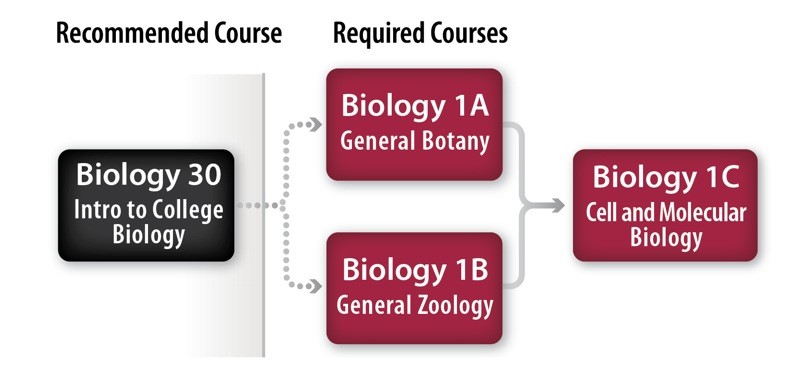 Biology Major & Pre-Professional Pathway